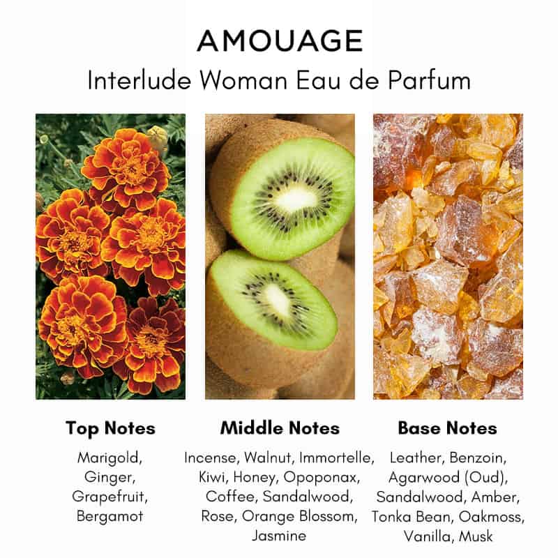 Amouage Interlude Woman 2 ml 0,06 oz offizieller Parfümproben-Parfümtester Amouage Interlude Woman 2 ml 0,06 oz offizieller Parfümproben-Parfümtester