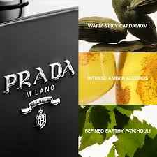 Das Parfüm Prada L'Homme Intense probiert einen seltenen Duft Das Parfüm Prada L'Homme Intense probiert einen seltenen Duft
